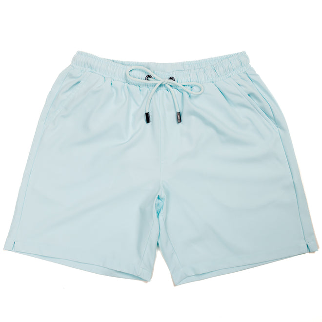 Men Mint Swim Shorts